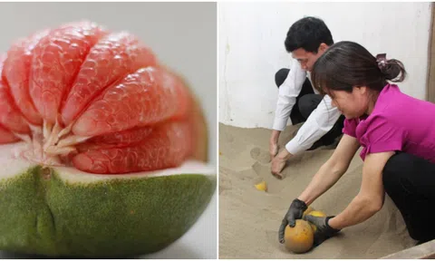 Người bán bưởi lâu năm tiết lộ cách bảo quản ‘chuẩn’ để cả năm không thối 